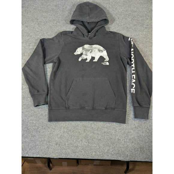 The North Face Other - North Face Men Grizzly Bear Mountain Graphic Hoodie Black Sleeve Logo M #2339